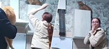Попытка снять кошку со шкафа закончилась неожиданным финалом