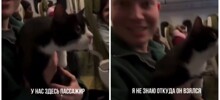Парень поймал кота, гулявшего по салону самолета