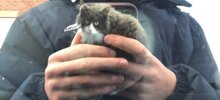 17 фотографий, которые полностью обманут ваш мозг