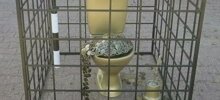 Аквивисты подарили ставропольскому ГИБДД золотой унитаз в клетке