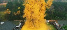 15 раз, когда люди встретили что-то действительно потрясающее
