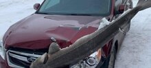 15 огорошивающих кадров, которые приведут вас в замешательство