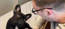 20 душевных доказательств, что животные - это лучшие антидепрессанты