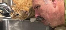30 кадров с рыжими котейками, которые заряжены чудаковатостью