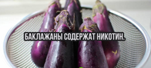 22 коротких факта для тех, кому некогда учиться