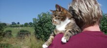 Слепую кошку подобрали на улице — и показали ей, что такое любовь