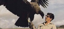 30 любопытных снимков из прошлого, которые показывают мир с разных сторон