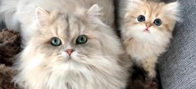 Замурчательные мамы, запечатлённые в особые моменты жизни