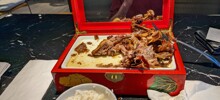 17 изобретательных рестораторов, которые напрочь забыли про тарелки