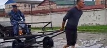 В Уссурийске сотрудник колонии запряг в телегу заключённого