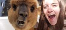 17 потешных животных, которым так мало надо для счастья