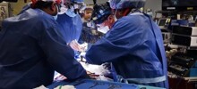 Мужчина с пересаженной от генетически модифицированной свиньи почкой умер через 2 месяца после операции