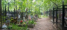 В Ставропольском крае две цыганки избили до смерти пенсионера, который отказался заниматься с ними сексом