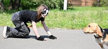 Теперь официально - квадроберы вышли из моды