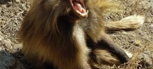 Страннее вымысла: 10 фактов, которые заставят вас усомниться в реальности