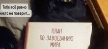 Китайцы создают программу, способную «переводит» кошачий язык на человеческий