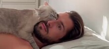 Котики — существа не от мира сего: 20 фото, доказывающих их странность