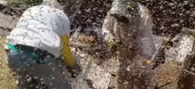 Самое жужательное ДТП произошло в Вашингтоне