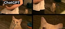 «Сейчас узнаем, это перелом или просто ушиб?»: мрачное будущее с ИИ