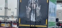 Православные активисты заставили водителя закрасить рисунок монахини на автомобиле