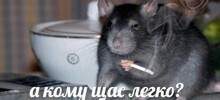 Ученые выяснили, как заставить мышей говорить