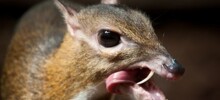 10 завораживающих снимков, которые не стоит пропускать