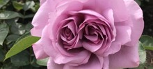 20 поразительных фото, доказывающих, что наш мир – место загадок и чудес
