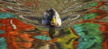 Оптическая поэзия: 20 фото, которые обманут ваше восприятие