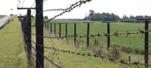 Под Воронежем нашли ферму с сотней рабов