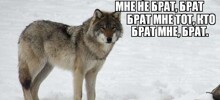 Столичный суд запретил семь крупных «пацанских» пабликов с цитатами