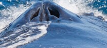 25 необычных фотографий обычных предметов, животных и процессов