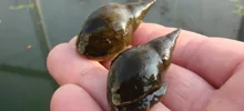 10 фактов, которые заставят вас переосмыслить реальность
