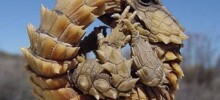 Искусство реальности: 20 фото, которые доказывают, что жизнь — это гениальный режиссёр