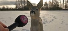 20 абсурдных фото, происходящее на которых проблематично объяснить с точки зрения логики