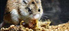 10 удивительных фактов со всего света из разных областей знаний