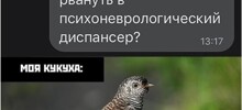 Зумеры додумались до отдыха мечты... в психдиспансере