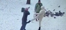 Спор из-за недопустимости кормления голубей привёл петербурженку на скамью подсудимых