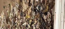 12 артефактов с глубоким смыслом, готовых рассказать свои истории