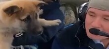 Пилот из ХМАО отправил своего щенка в невесомость