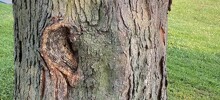 15 реально существующих чудес, которые похожи на плод воображения