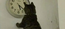 Время ускоряется не только в физике: научное объяснение, почему годы летят быстрее с возрастом