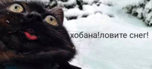 Зимняя радость без риска. Педиатры развеяли популярный миф о зимней забаве