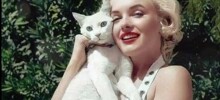 23 винтажных снимка, демонстрирующих неразрывную связь знаменитостей с их пушистыми компаньонами