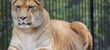 10 фактов, которые заставят пошатнуться ваши привычные представления о мире