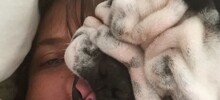 20+ питомцев, которые не могут существовать без своего человека