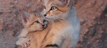 25 эмоциональных сердечных кадров, от которых теплеет на душе