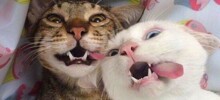 25 обаятельных симпатяг, селфи которых явно лучше наших