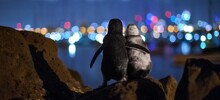 25 вдохновляющих кадров, от которых перехватывает дыхание