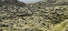 Мох Исландии, сумевший скрыть последствия ужасной катастрофы