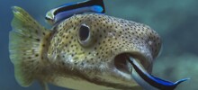 8 реальных фактов, которые всё равно хочется перепроверить